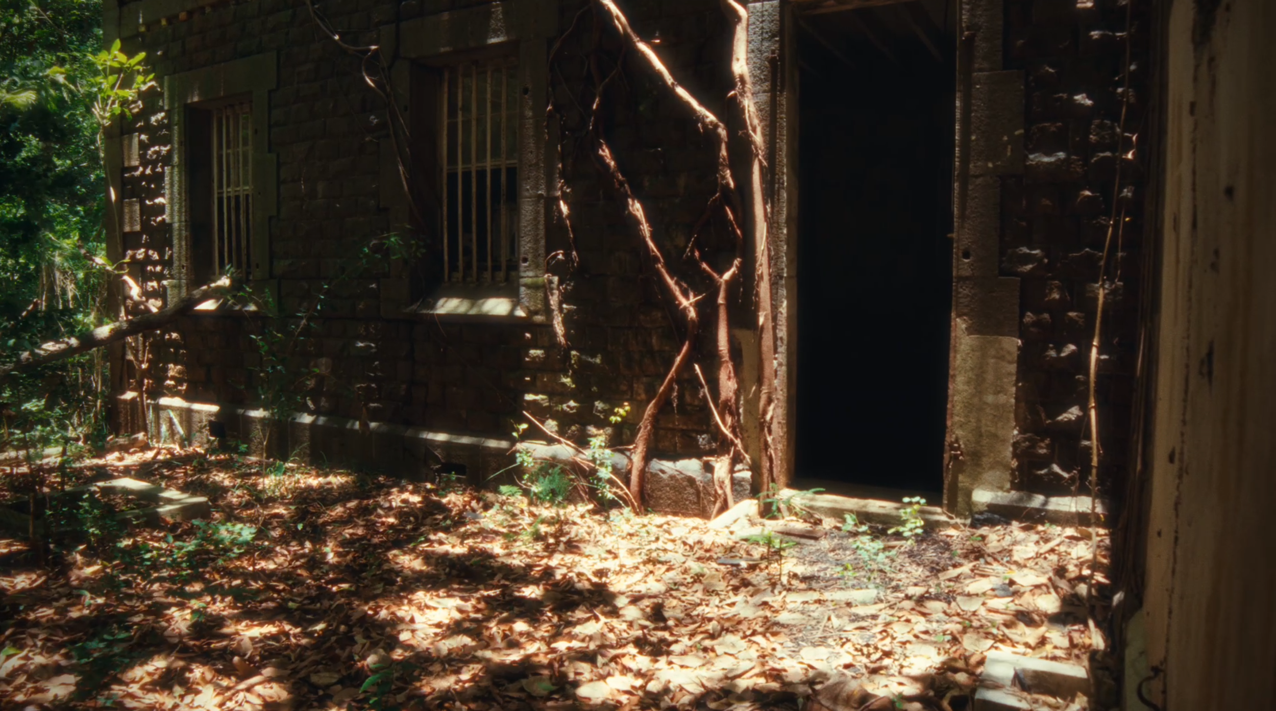 An abandoned house with broken windows, surrounded by overgrown vegetation and fallen leaves.