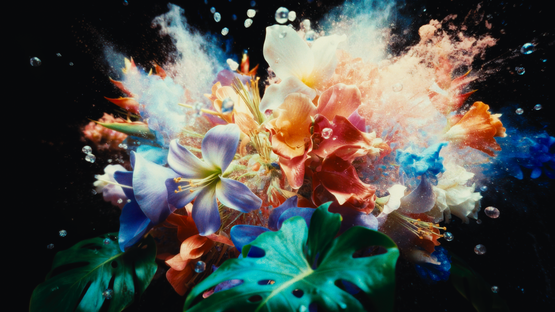 Colorful flowers and leaves exploding with a burst of colorful powder or dust against a dark background.