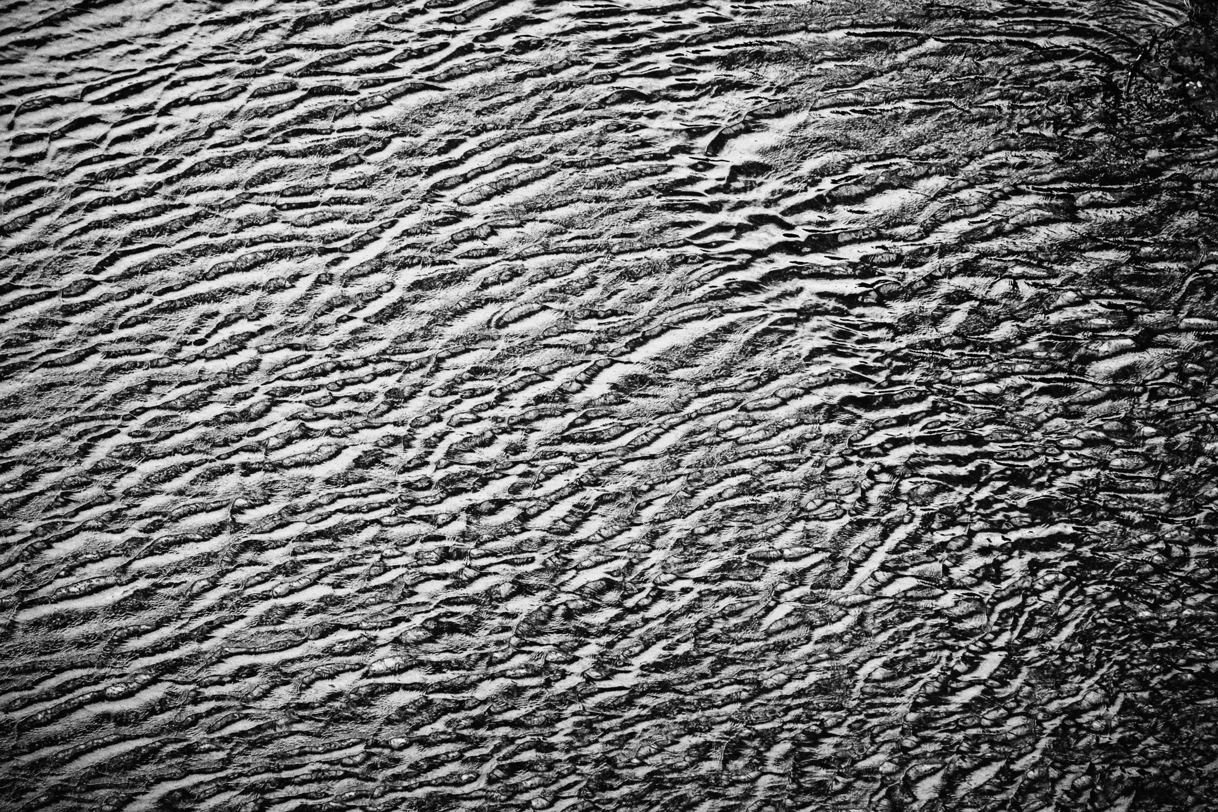 B&W 1.png