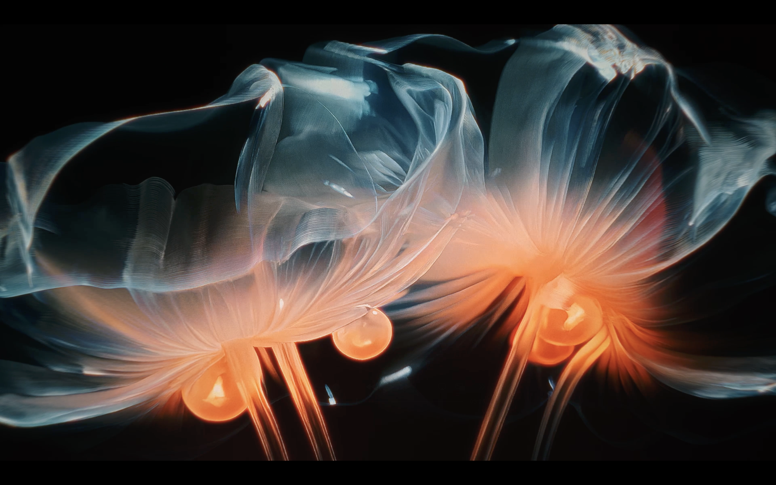 Abstract digital art of glowing jellyfish with translucent, flowing tentacles in shades of blue, orange, and pink against a black background.