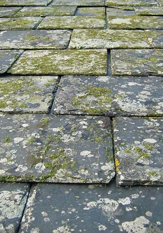 Slate roof tiles covered in moss and debris just like a "before" photo of a Stork Roofing roof cleaning in Aberdeen