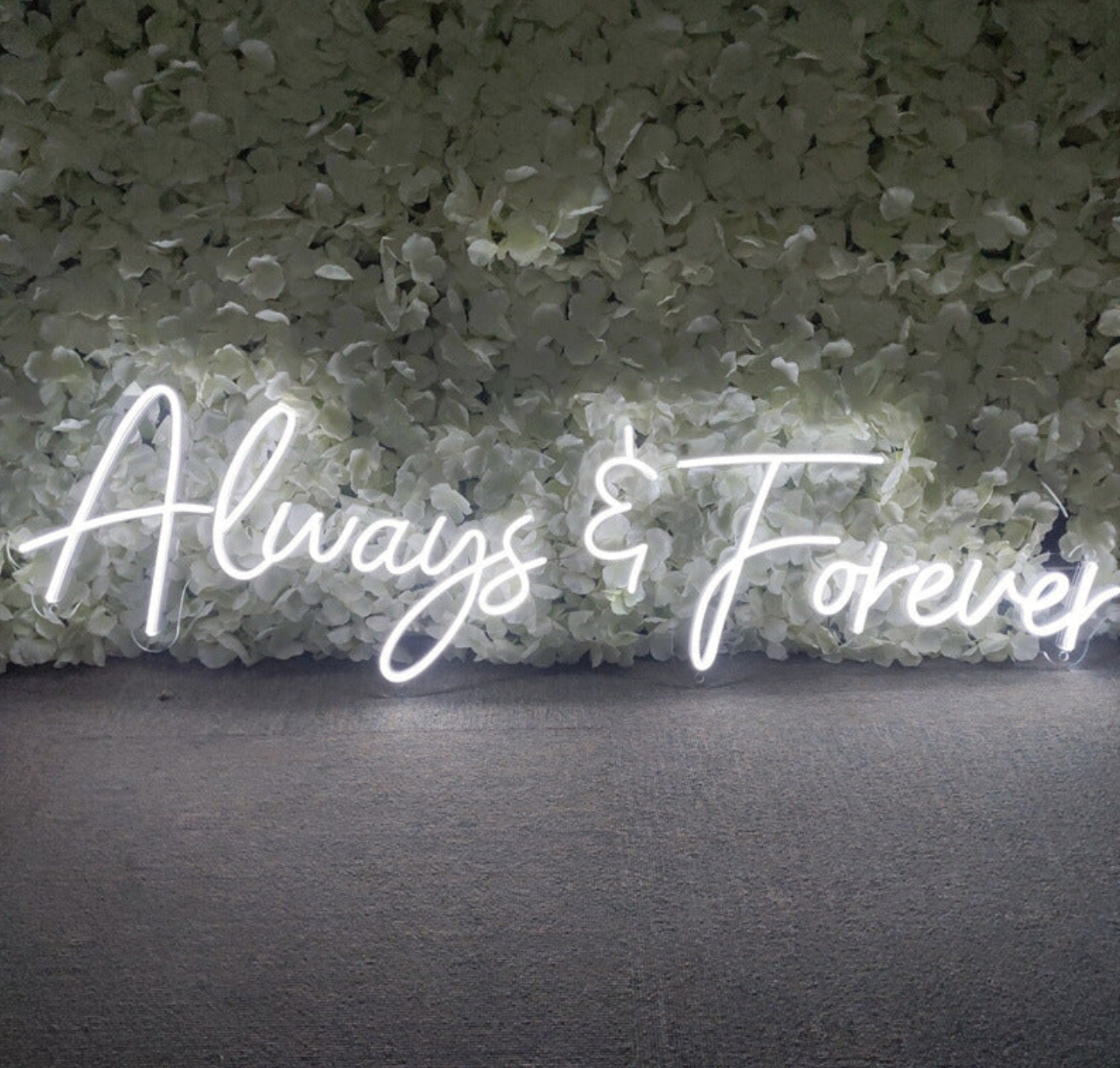 Neon sign reading 'Always & Forever' against a backdrop of white flower petals.