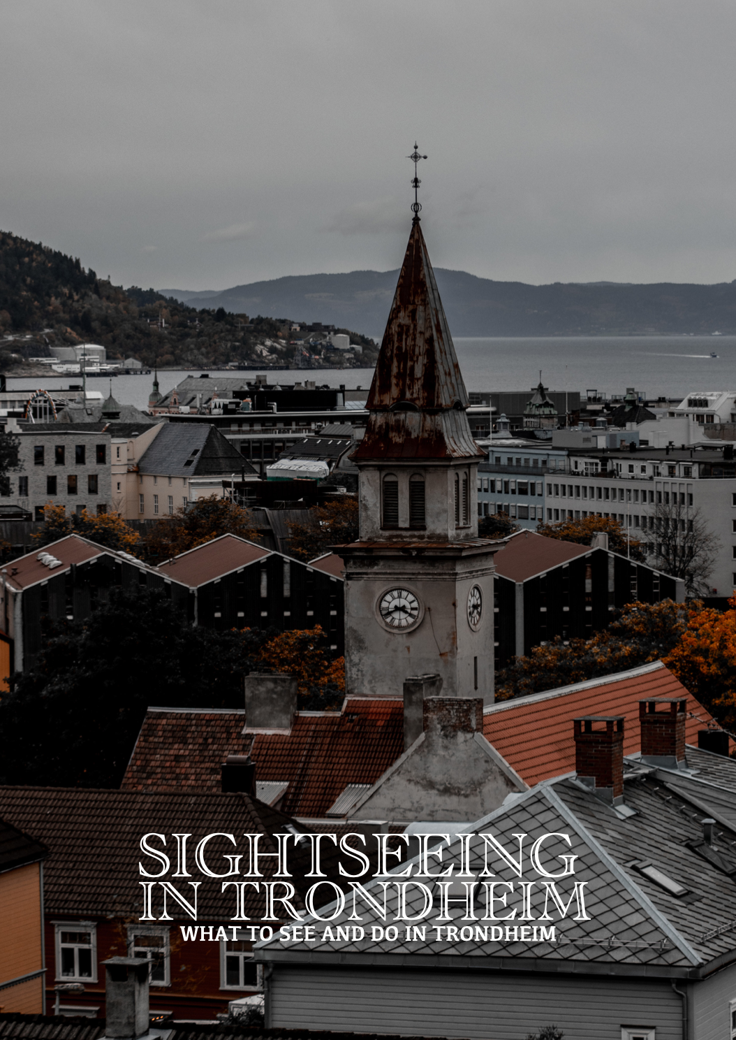 Schermafbeelding 2023-02-27 om 13.57.38.png