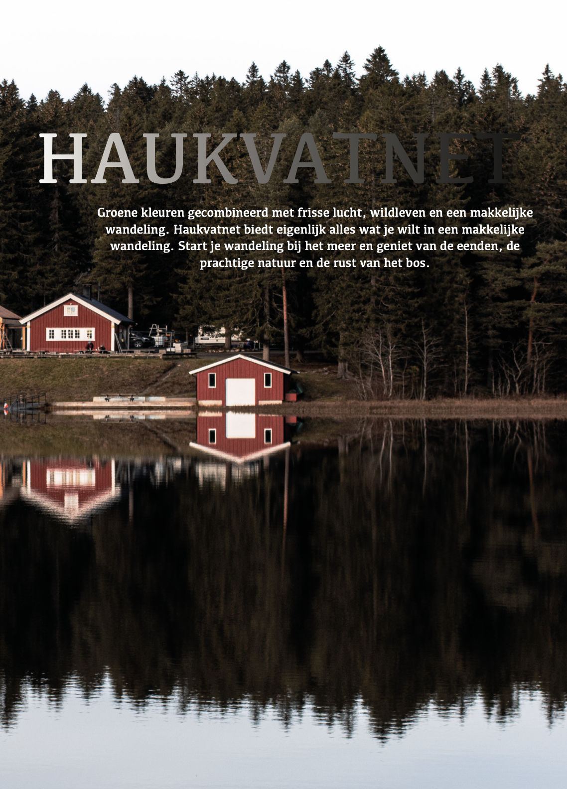 Scherm­afbeelding 2026-02-26 om 13.21.46.png