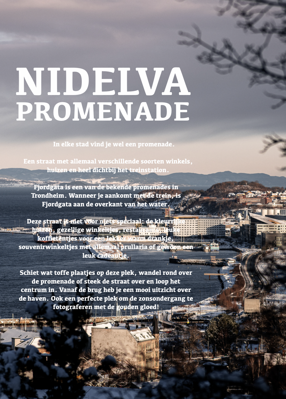 Scherm­afbeelding 2026-02-26 om 13.21.21.png