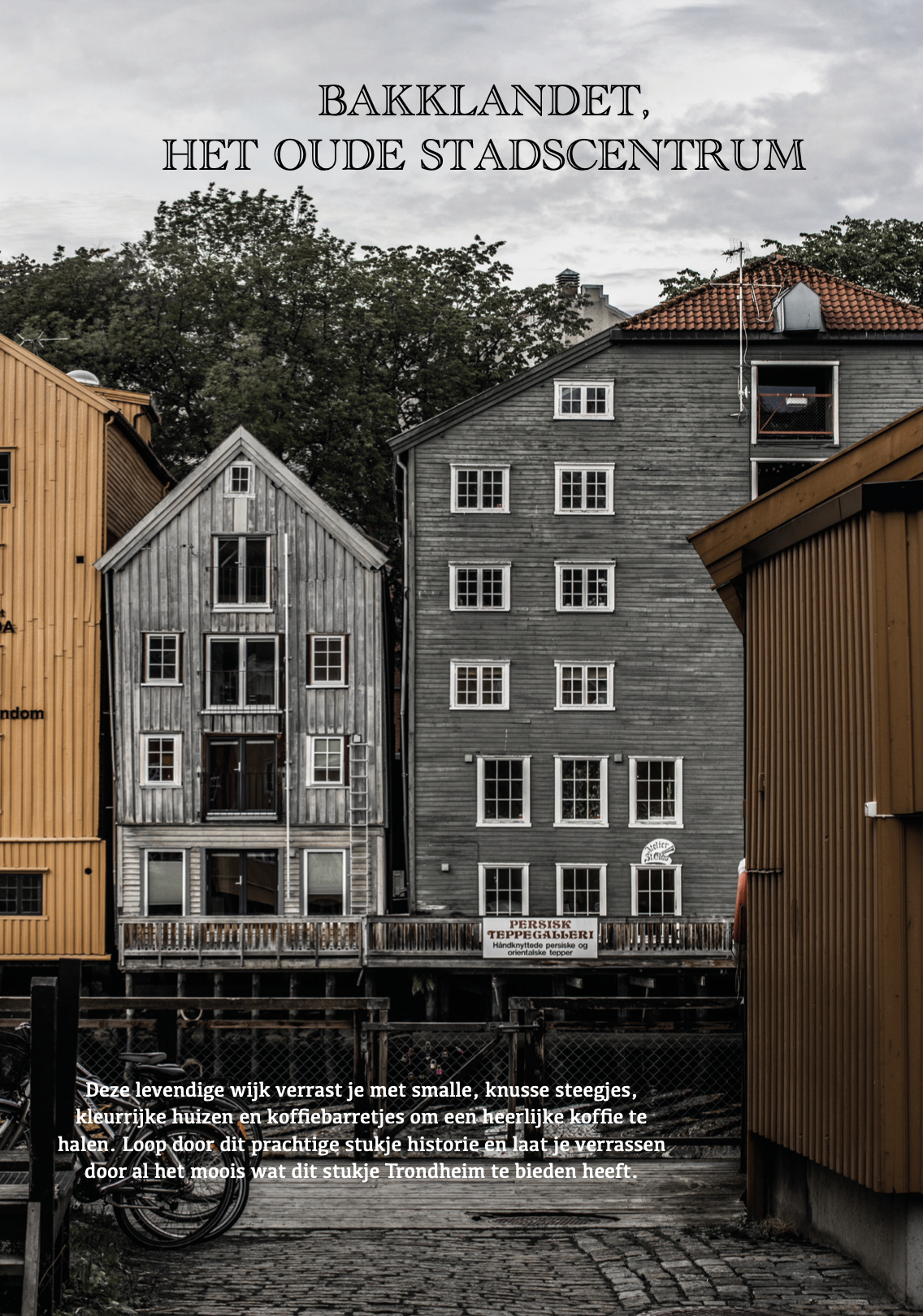 Scherm­afbeelding 2026-02-26 om 13.20.57.png