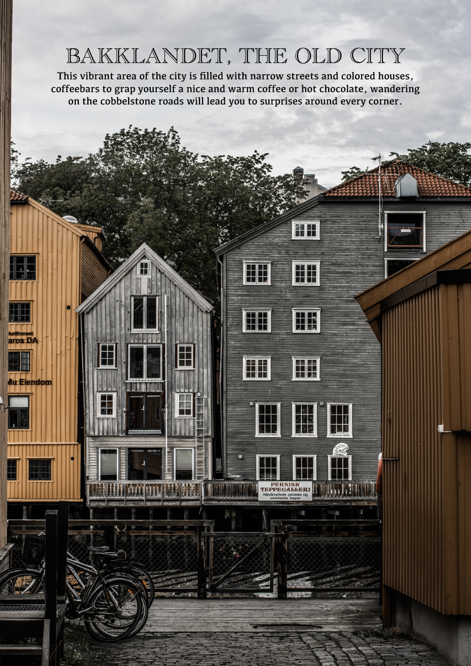 Schermafbeelding 2023-02-14 om 13.00.04.png