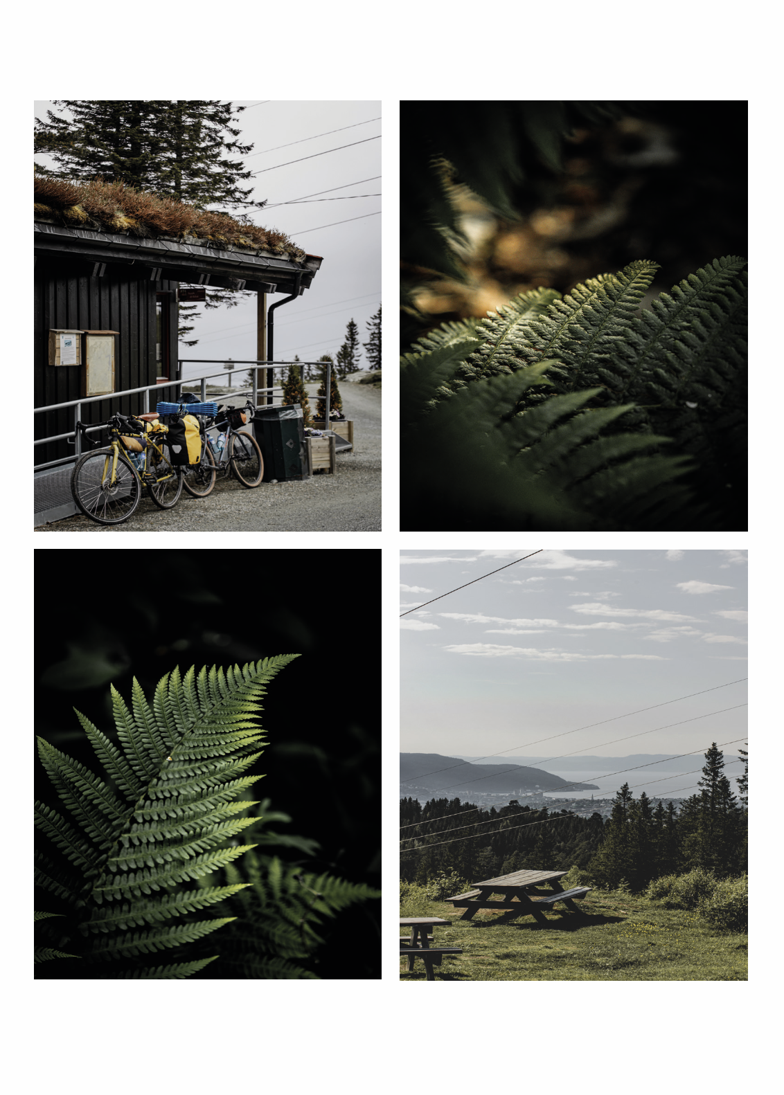 Scherm­afbeelding 2026-02-26 om 13.22.23.png