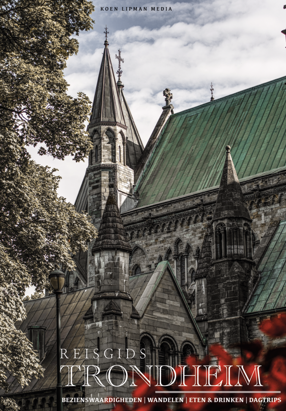 Trondheim Reisgids (Digitale Versie)
