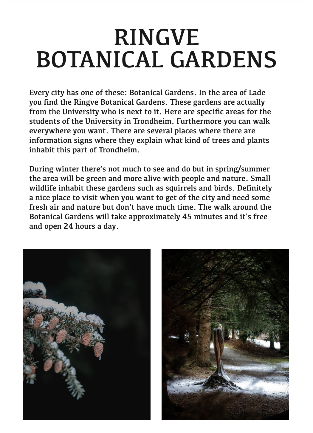 Schermafbeelding 2023-02-27 om 14.58.45.png