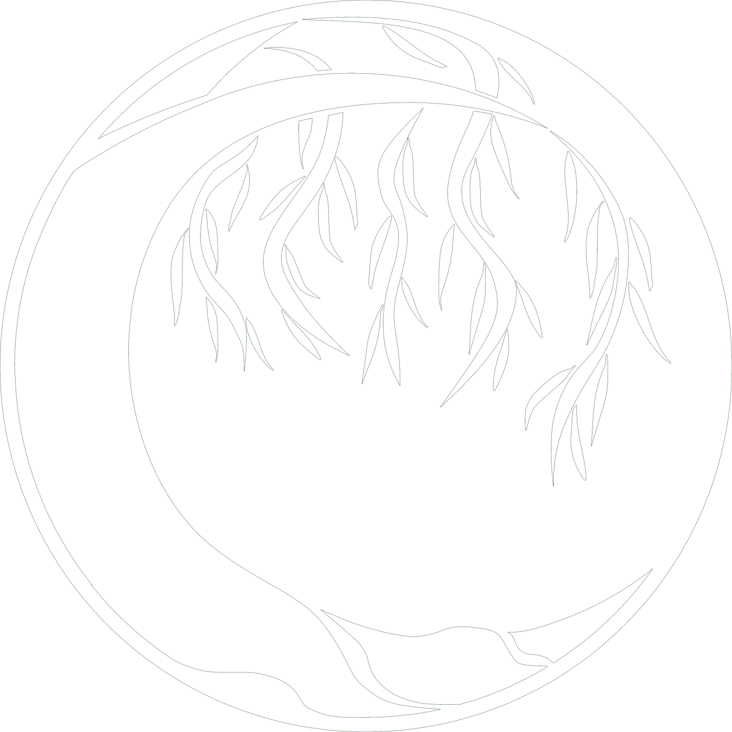 Pelvic Resilience Learning Hub