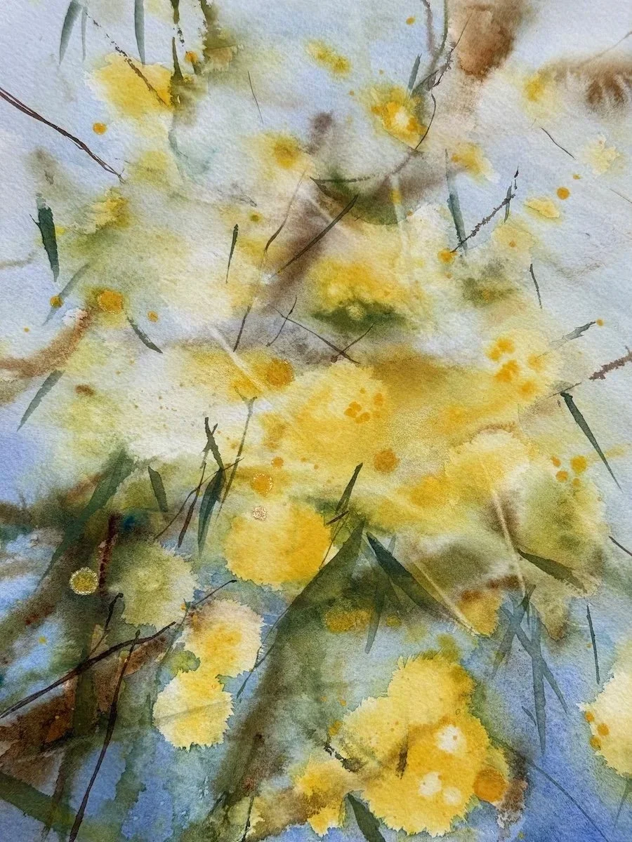Wattle+Bloom+Watercolour+Joanne+Duckworth+Glimmers+of+Spring+2.jpg