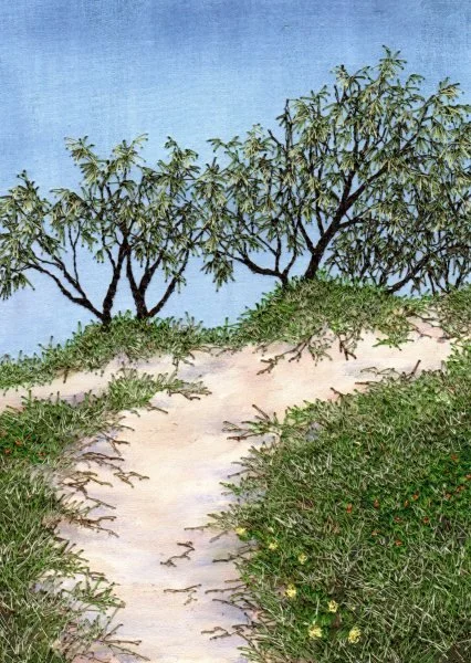 Bernardine Hine Atop-the-Dune.jpg