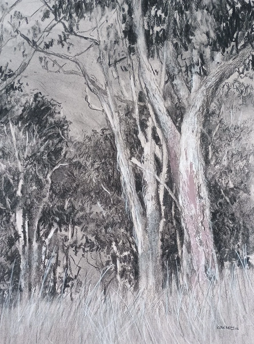 Karol Oakley Seaview Artists Gallery trees.jpg