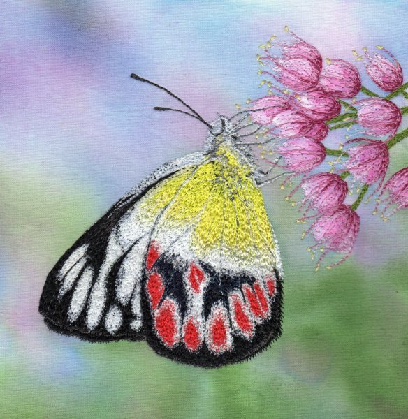 Bernardine Hine On-the-Pink.jpg