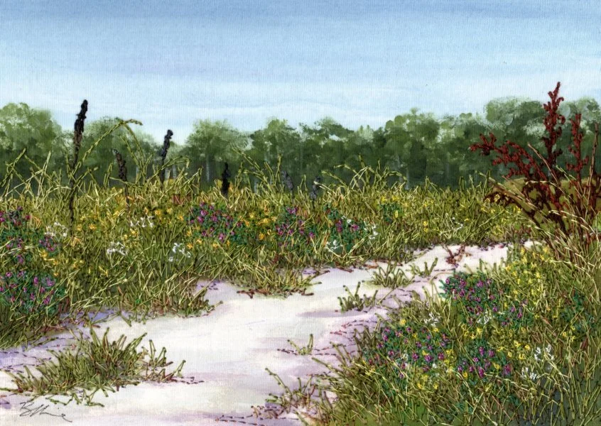 Bernardine Hine Flora-Walk.jpg