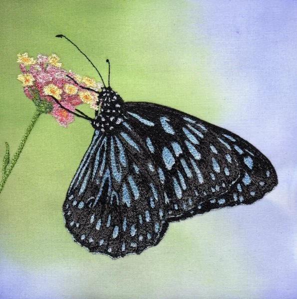 Bernardine Hine Blue-Tiger.jpg