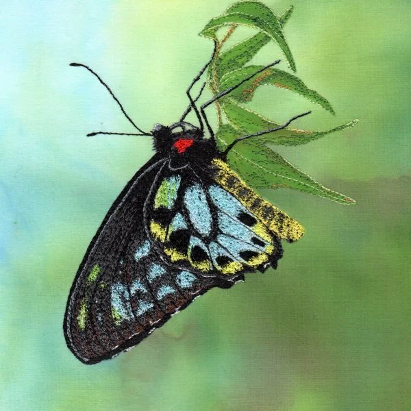 Bernardine Hine Richmond-Birdwing-1.jpg