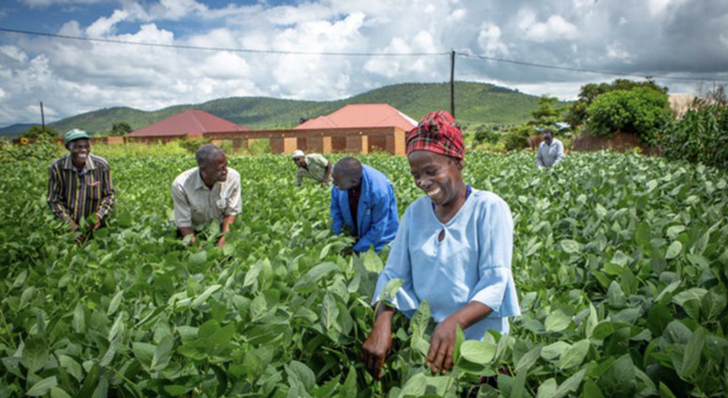 2023 In Review: Zambia's Economic Revitalisation