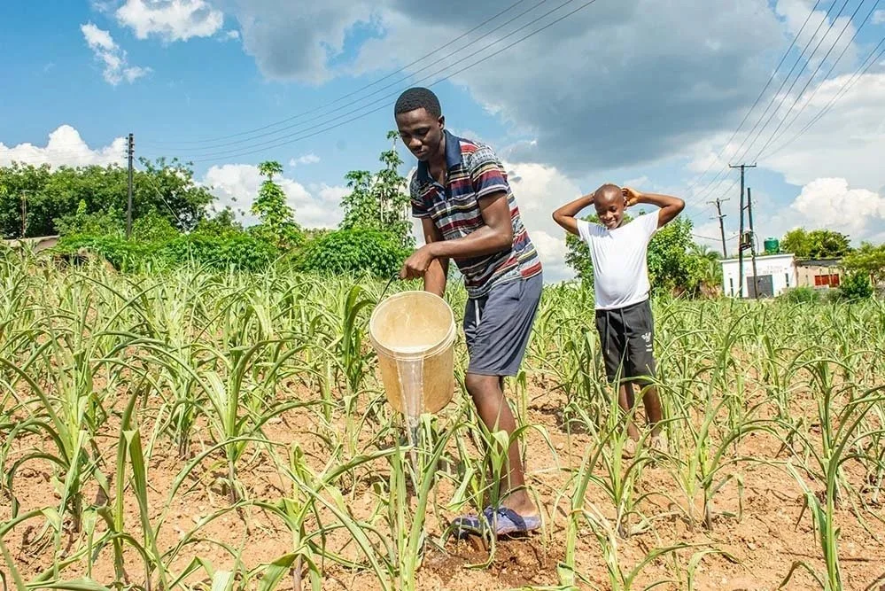 A Fair Deal for Farmers: How E-Vouchers Are Revolutionising Zambia’s Agriculture Sector