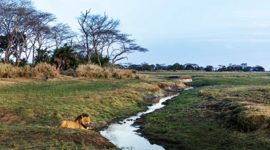 Zambia's Kafue National Park Steps Up Its Tourism Game