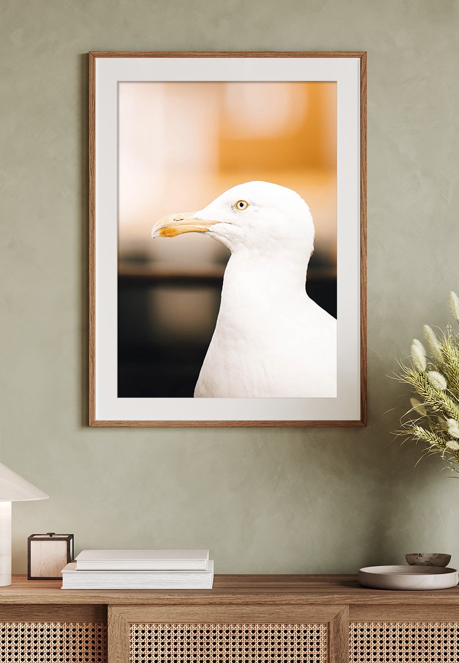 Fotografie eines weißen Möwenkopfes in einem Rahmen an einer Wand. Unscharfer Hintergrund in Gelbtönen