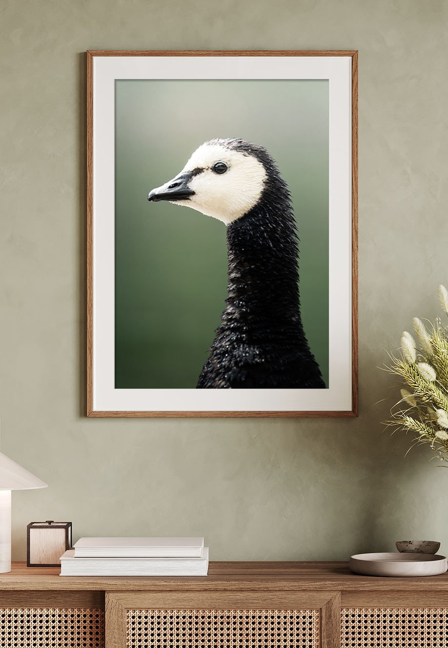 Fotografie einer Nonnengans,  mit unscharfem Hintergrund, in einem Rahmen an einer Wand.
