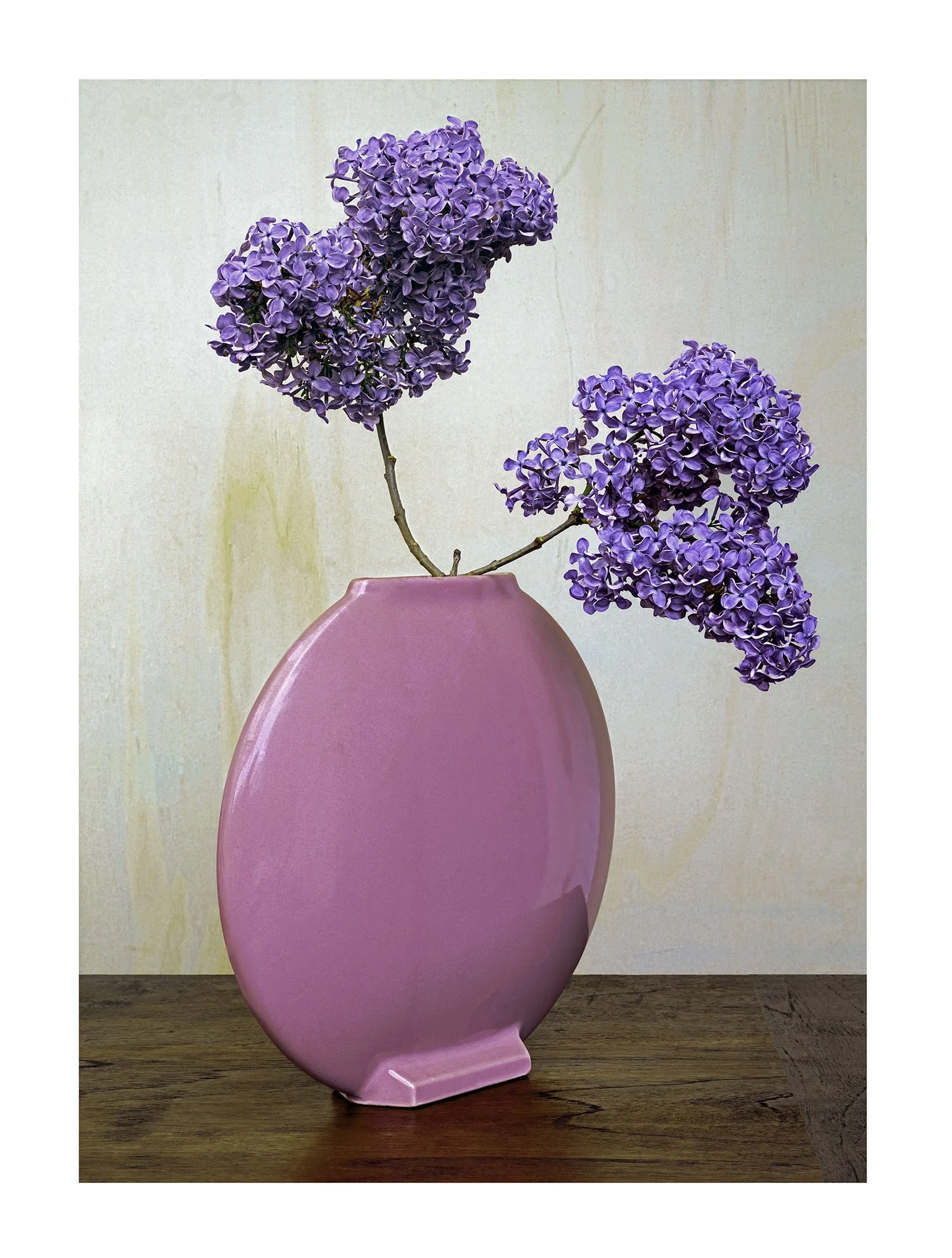 Fate in the Vase 13, 160 x 120 cm, 2023 