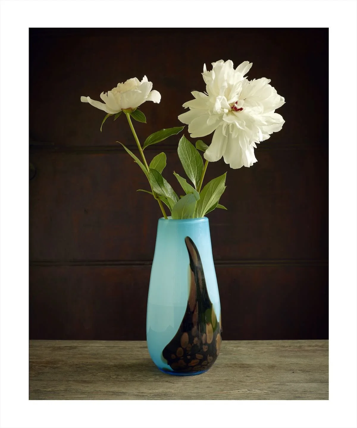 Fate in a Vase 11, 160 x 120 cm, 2011