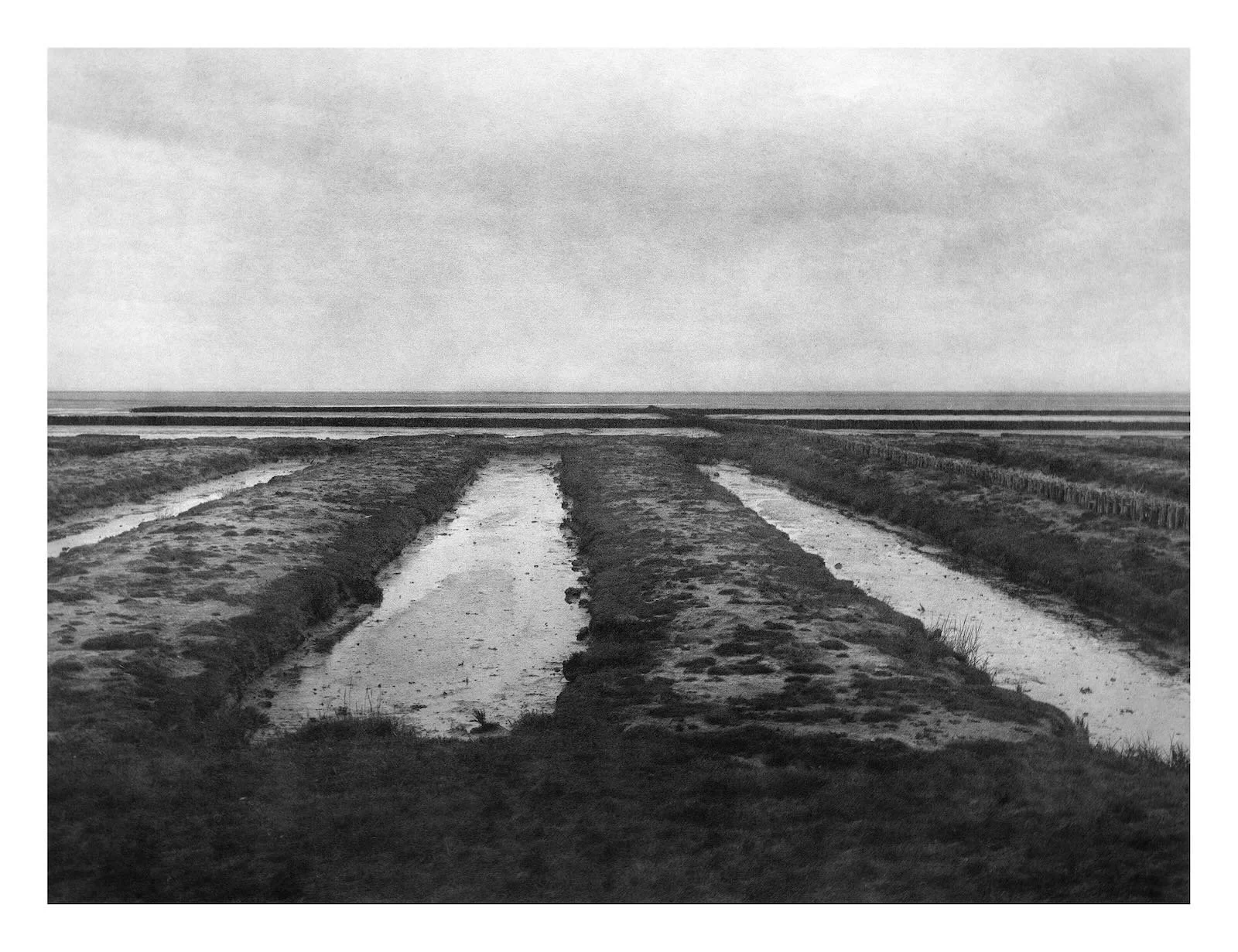 Wattenmeer 7, 100 x 130 cm, Föhr 2024 