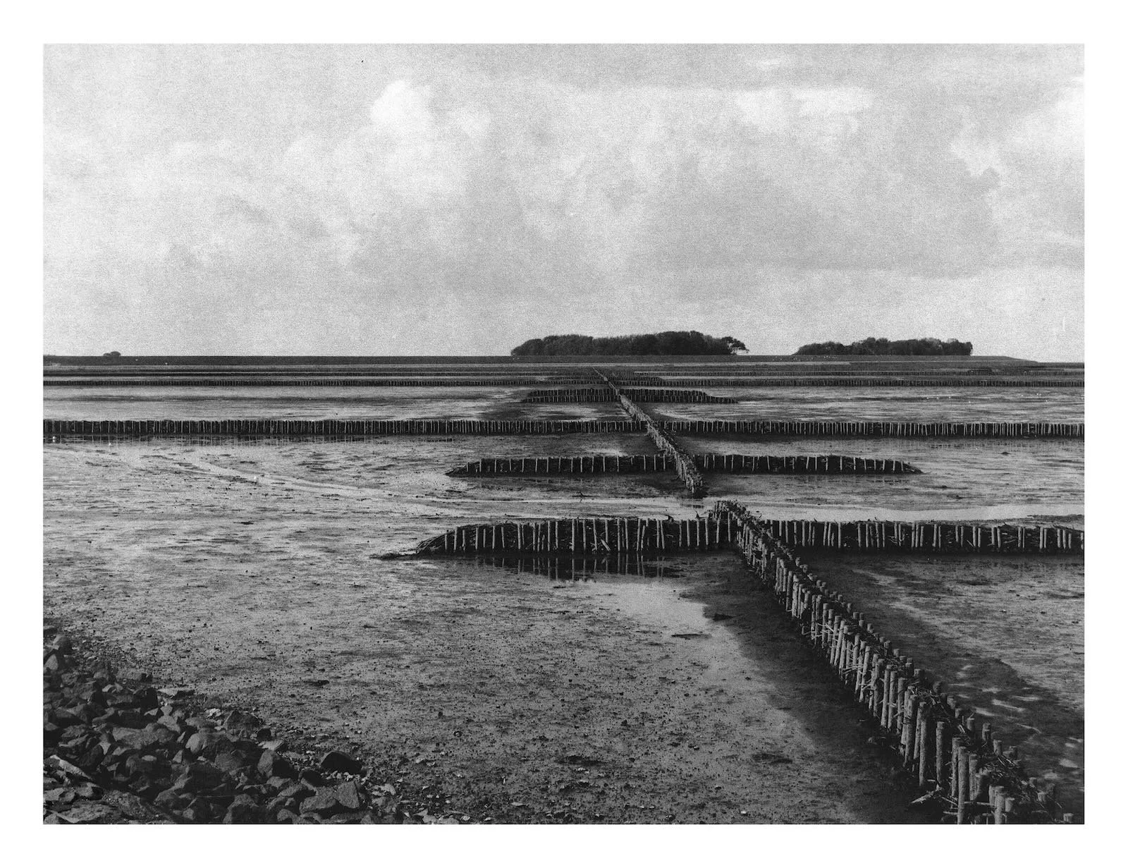 Fishing Ponds 4, 100 x 130 cm, Föhr 2024