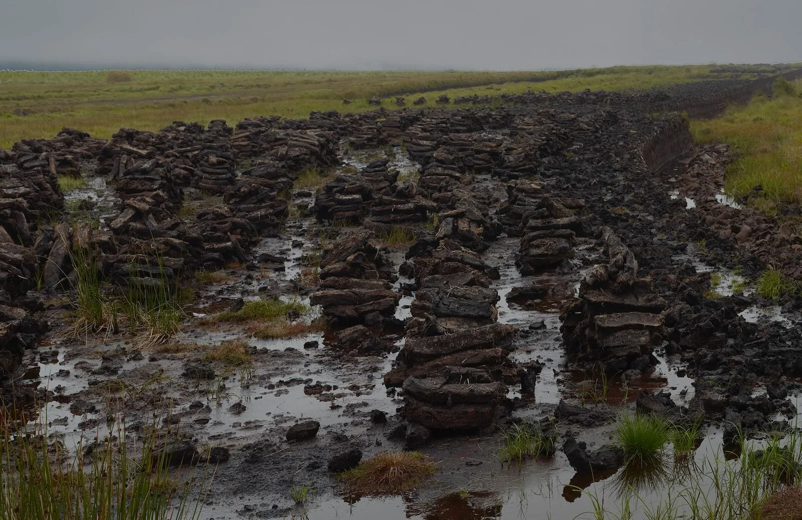 Peat, Ireland 2012