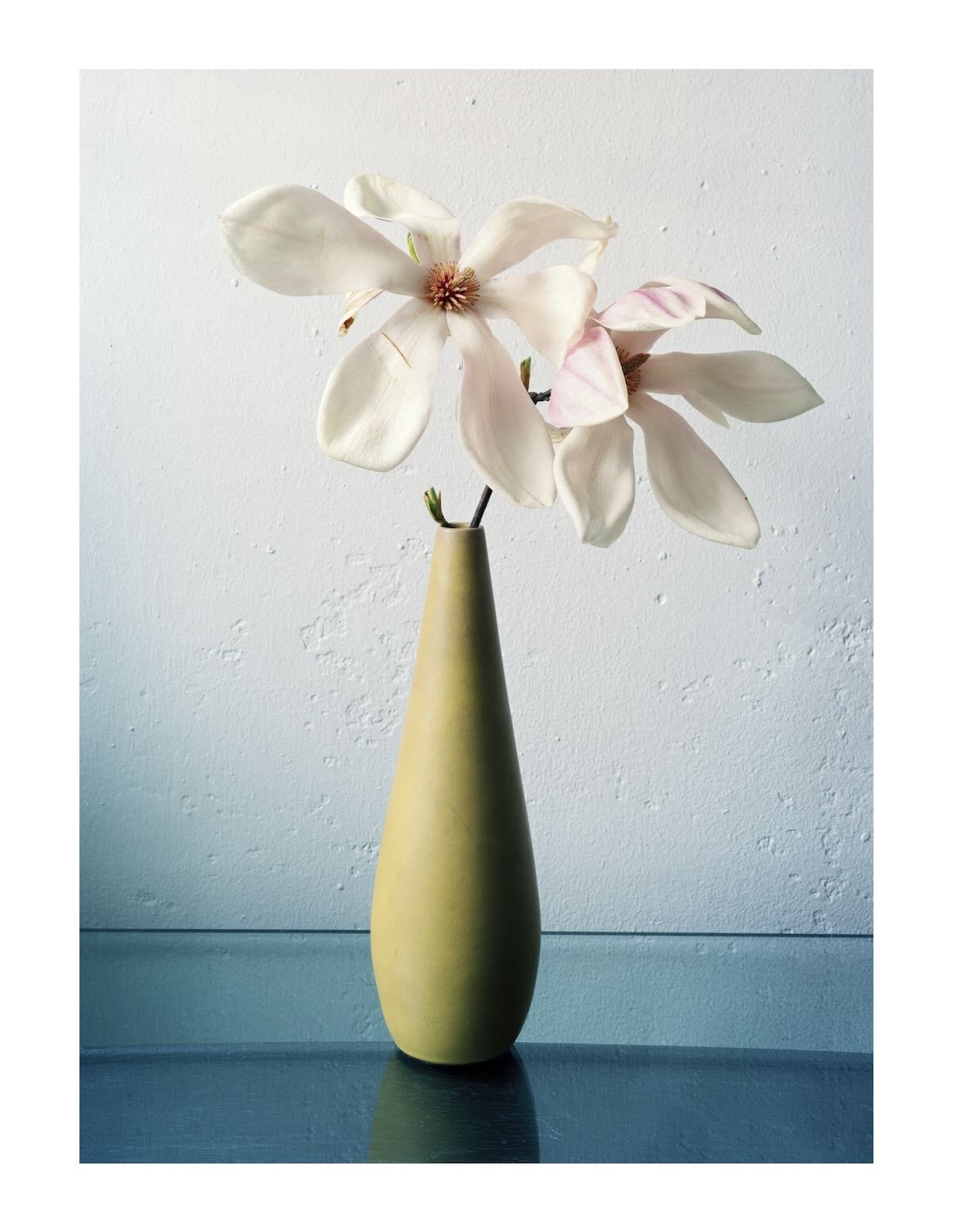 Fate in a Vase 2, 240 x 180 cm, 1991