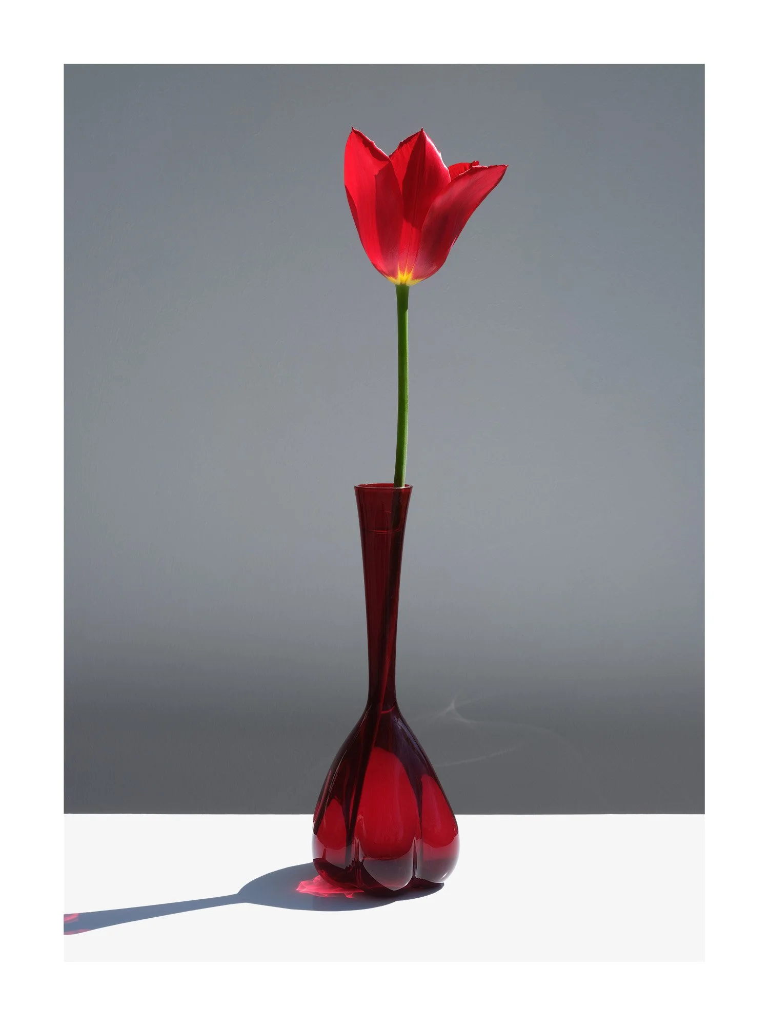 Fate in a Vase 12, 160 x 120 cm, 2023