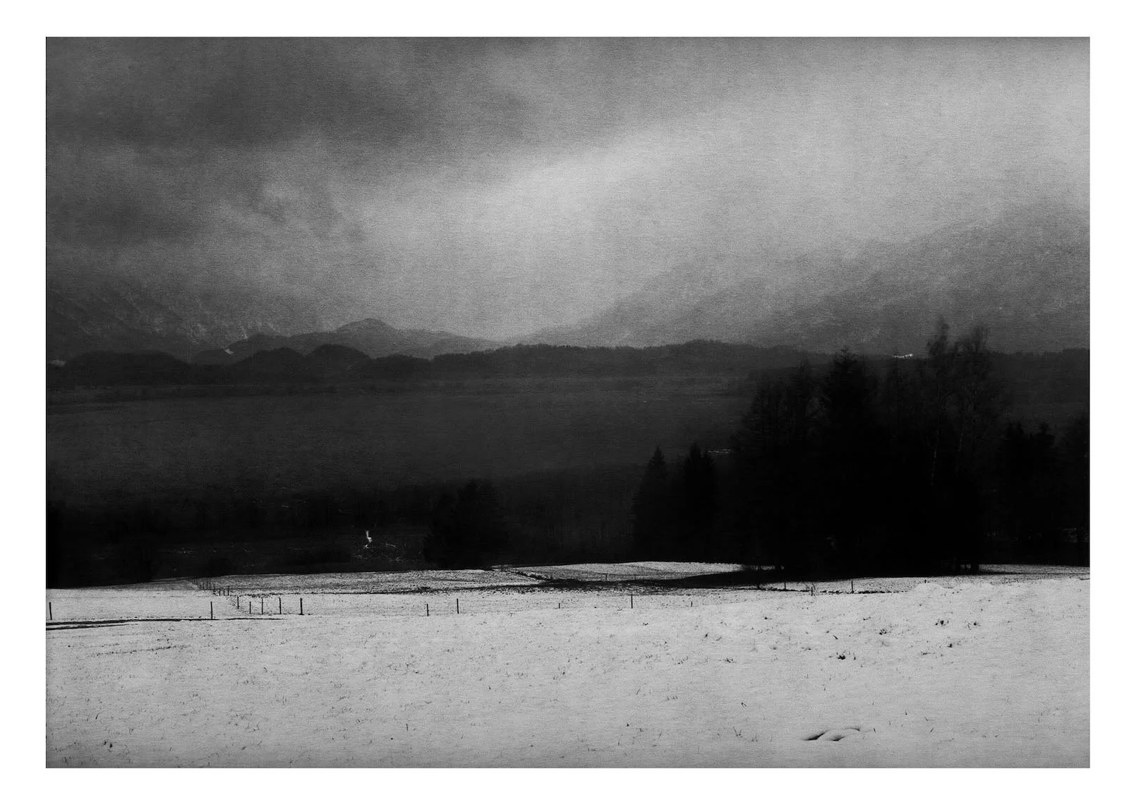 Murnauer Moos, 100 x 130 cm, Bavaria 2004