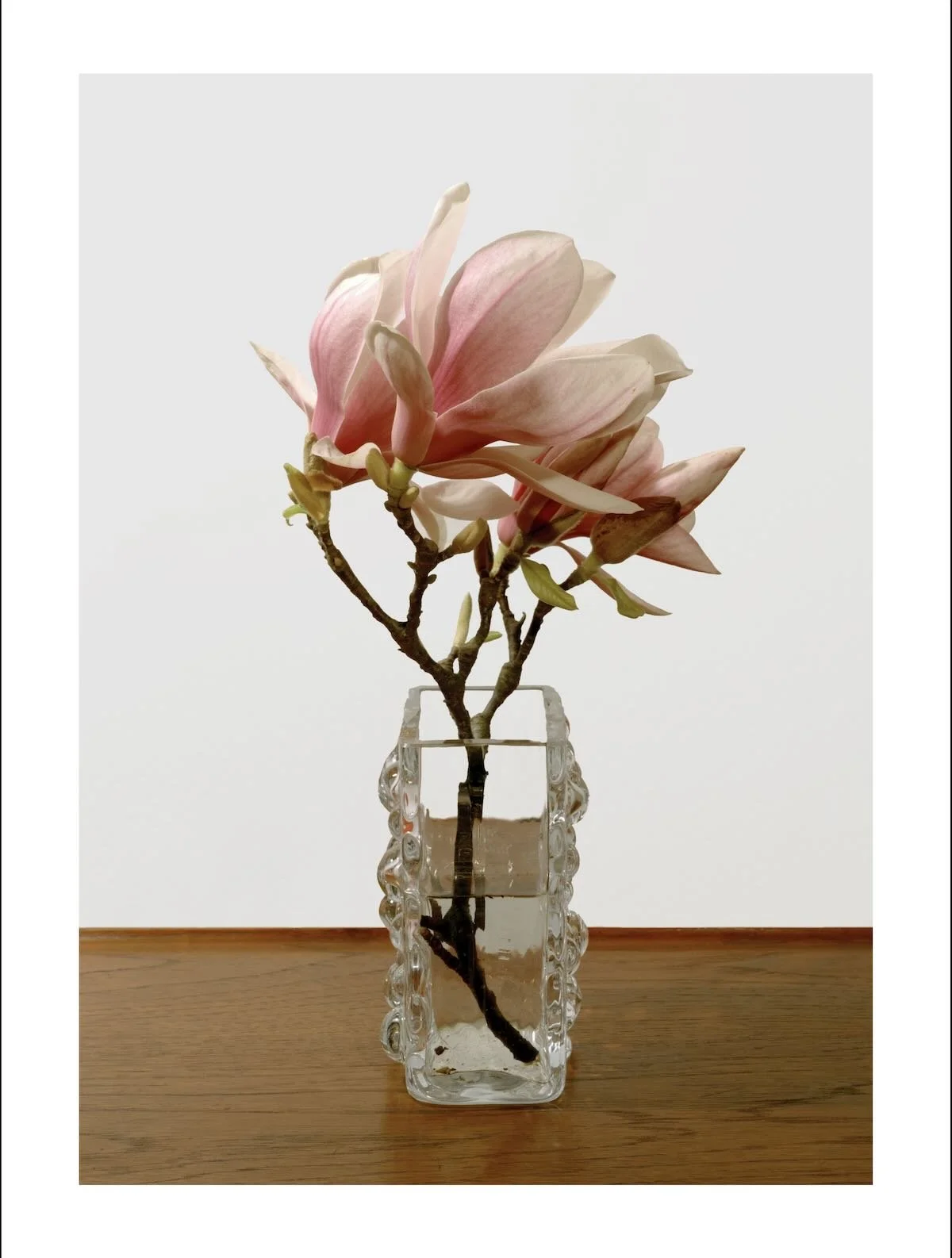 Fate in a Vase 5, 160 x 120 cm, 1999