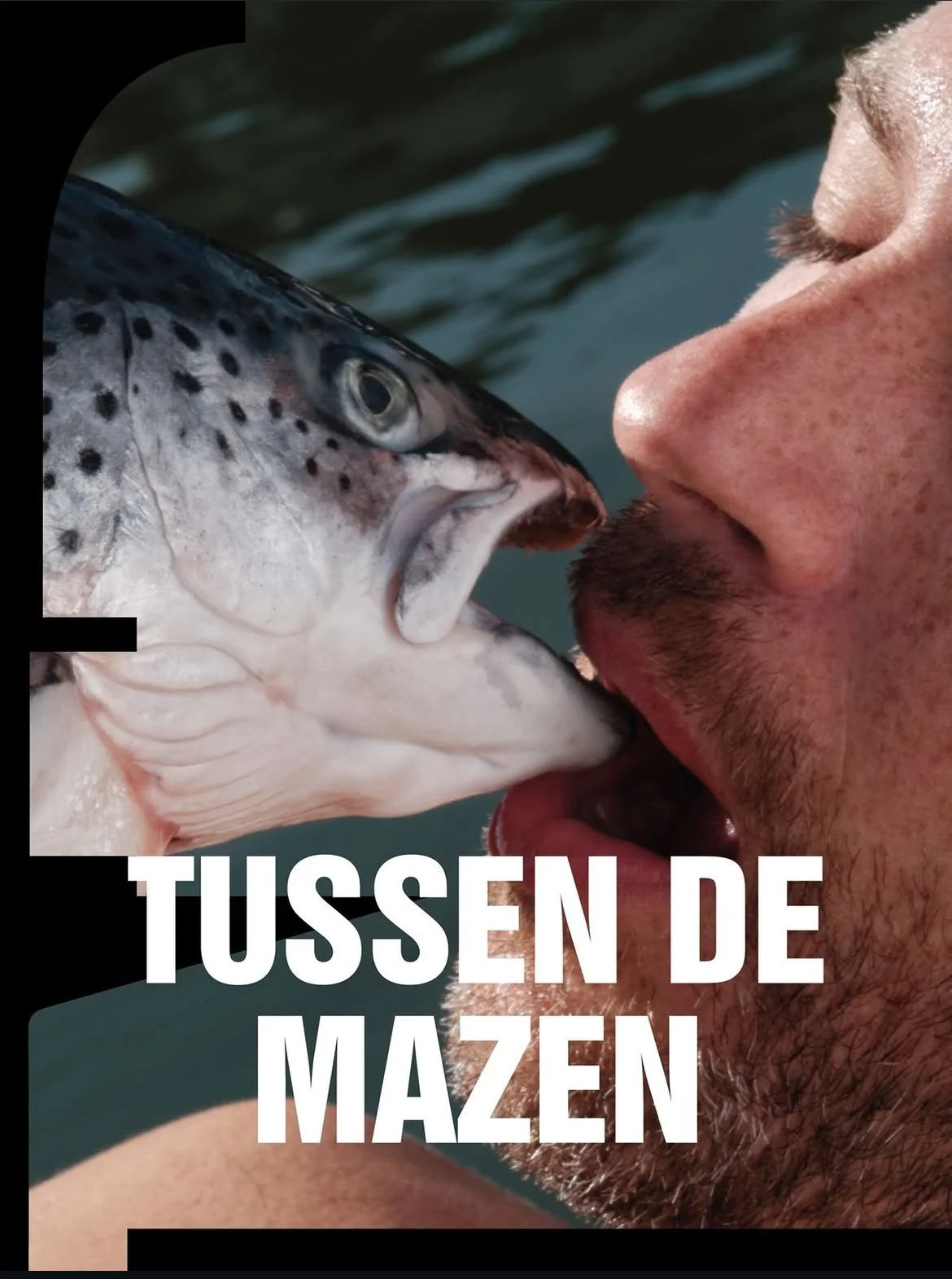 TUSSEN DE MAZEN