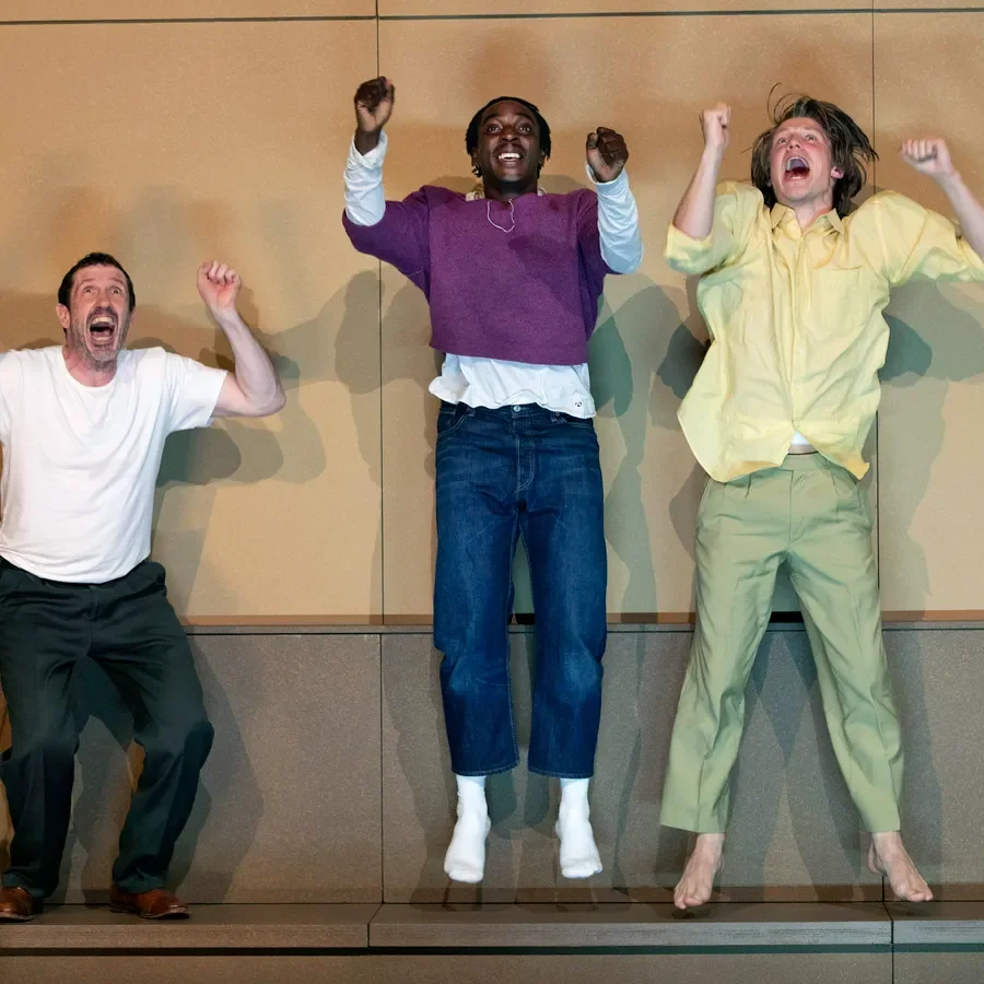 Verdriet is het ding met veren