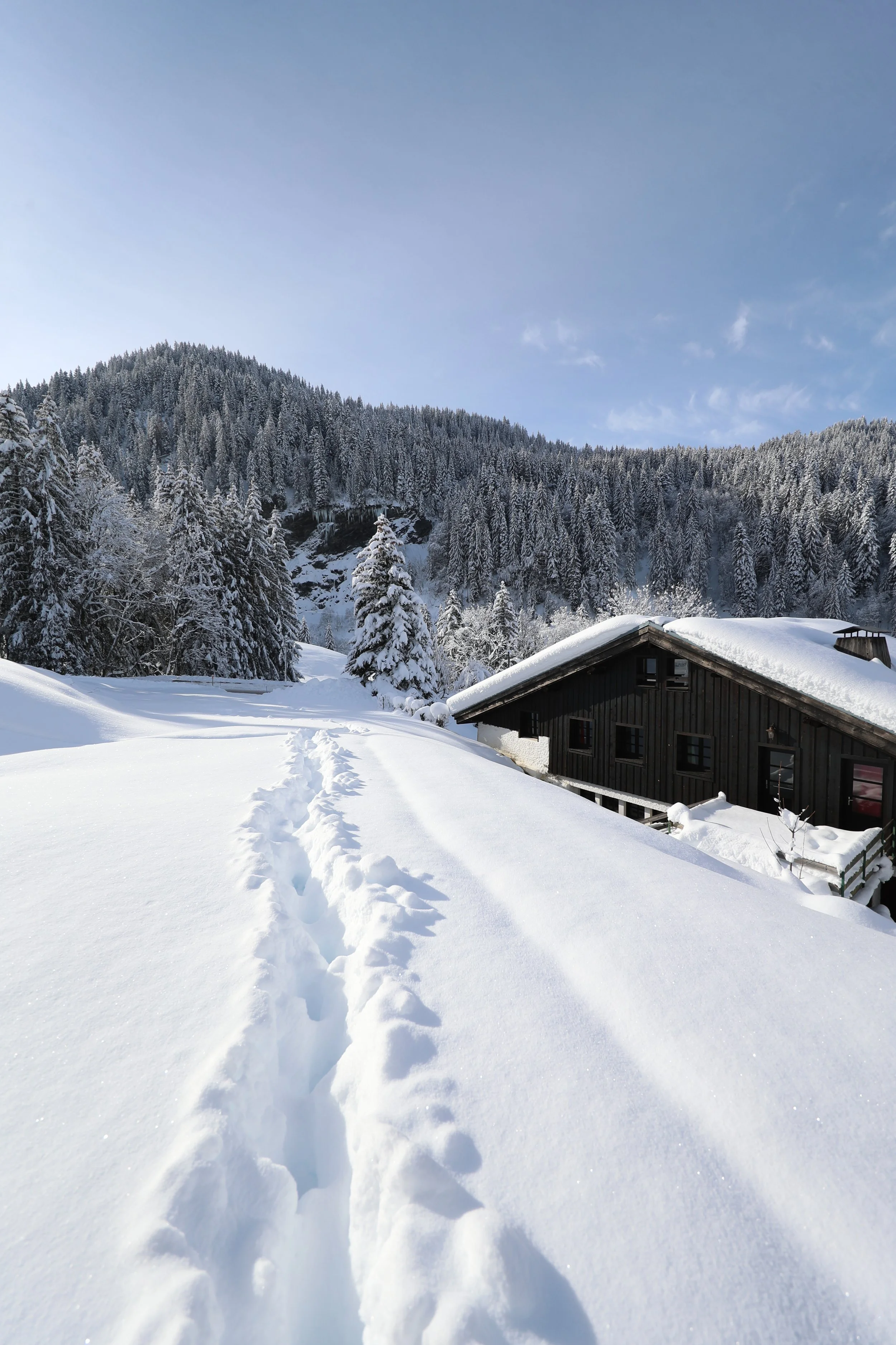 Chalets de montagne