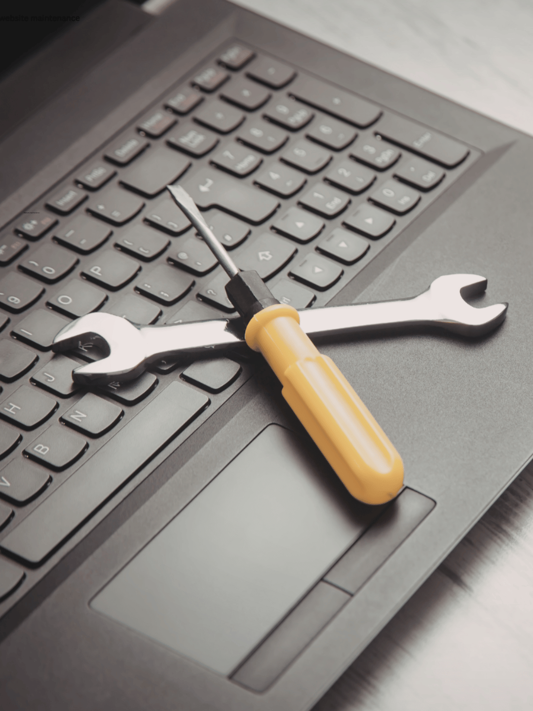 Complex Website Maintenance with Scott Van Winden
