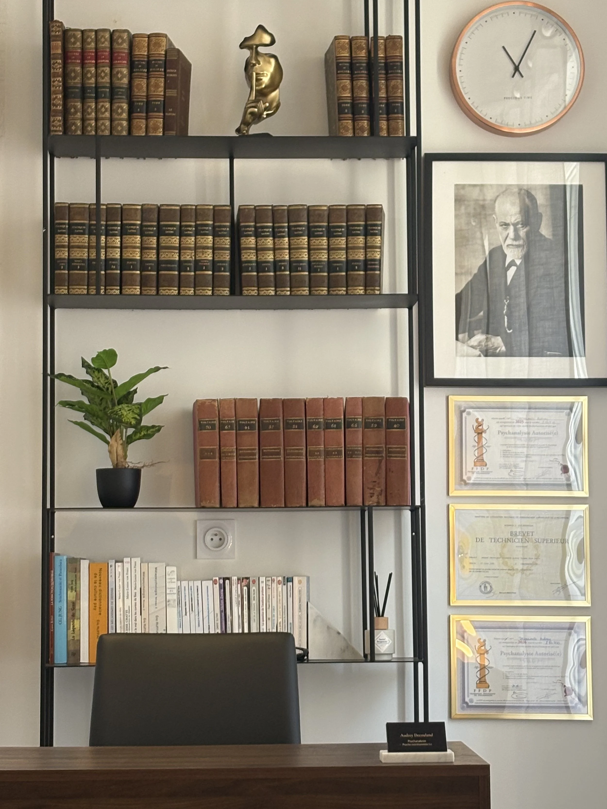 Étagere avec des livres anciens, une plante en pot, une montre ronde, un portrait noir et blanc d’un Freud, et plusieurs diplômes encadrés.