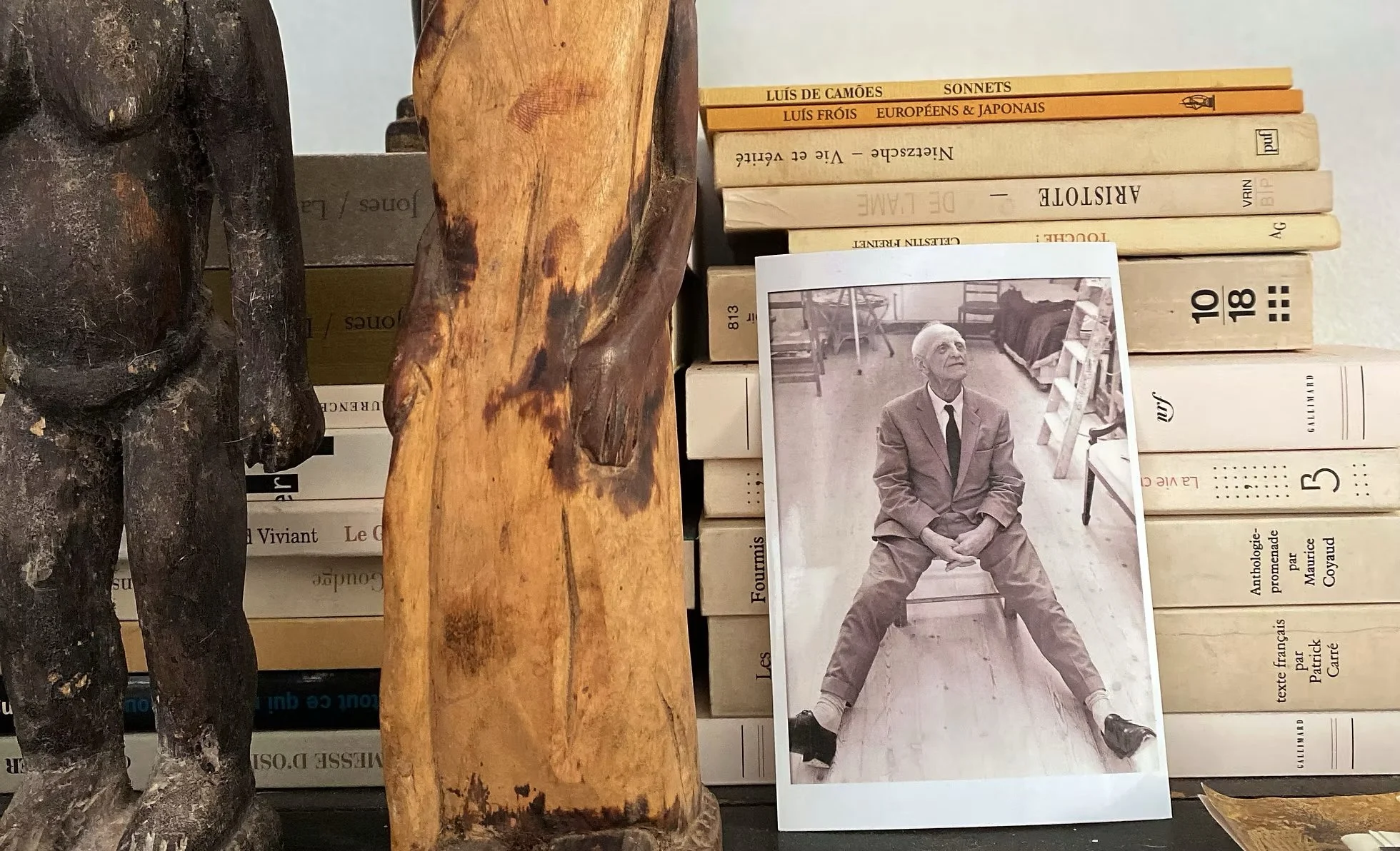 Bibliothèque de cabinet de psychanalyse