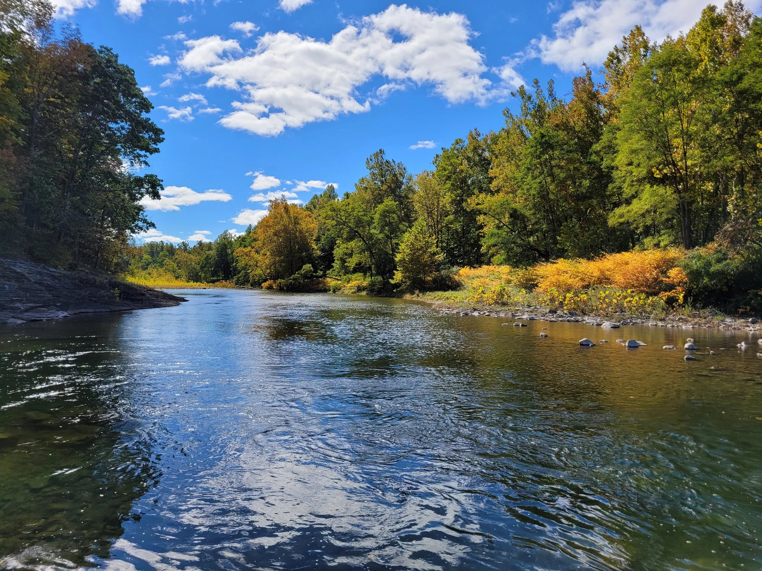 The peaceful Catskill Creek at Freehold Airport flowing through a forest with trees showing fall colors under a partly cloudy blue sky.