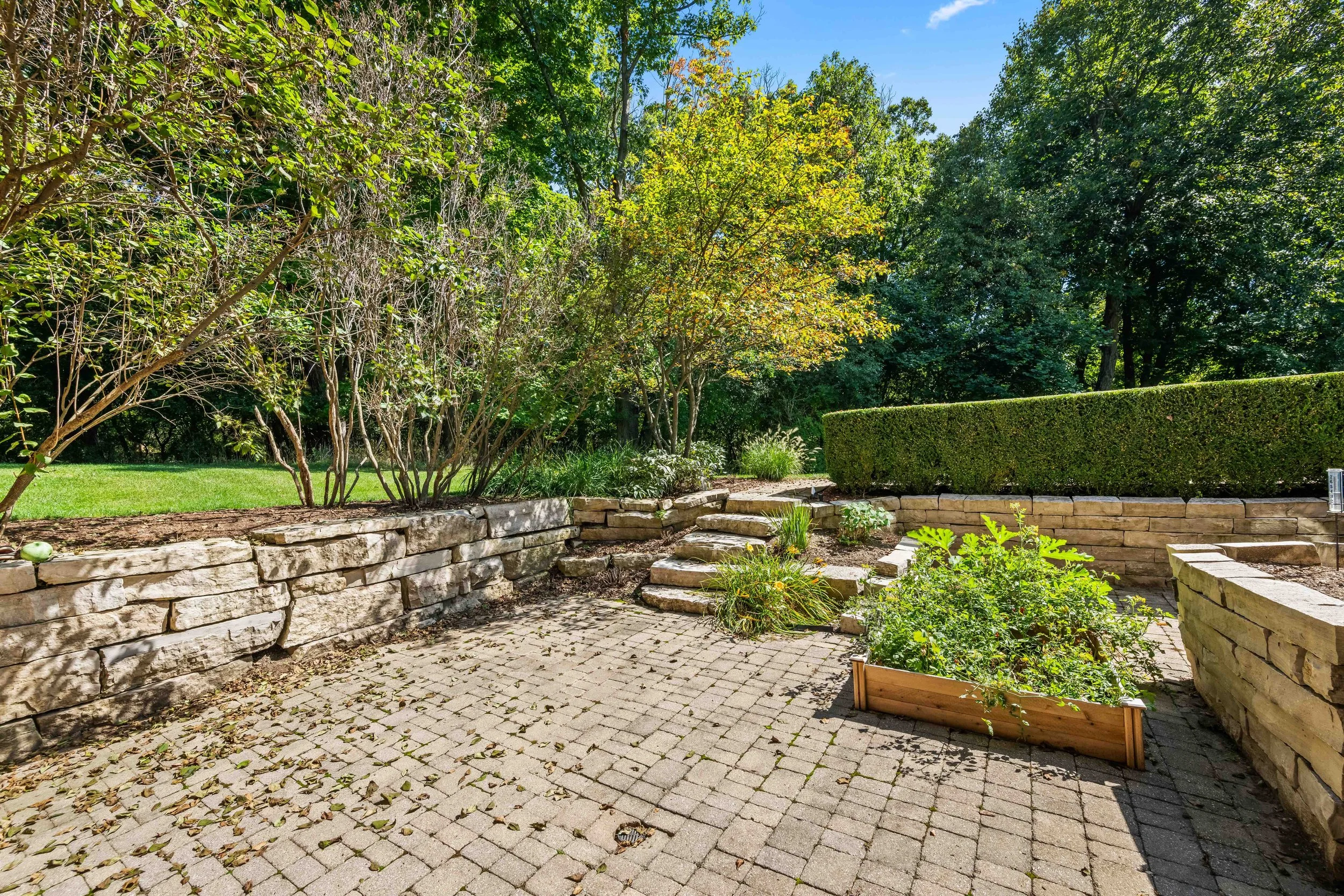 Project One - 65.jpeg