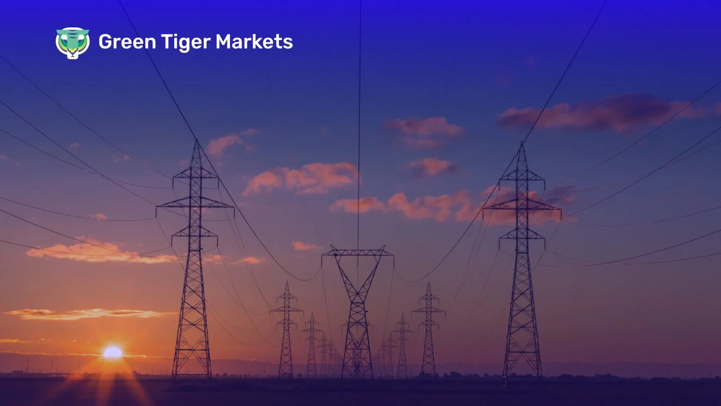 Hedging Strategies for Electricity Suppliers