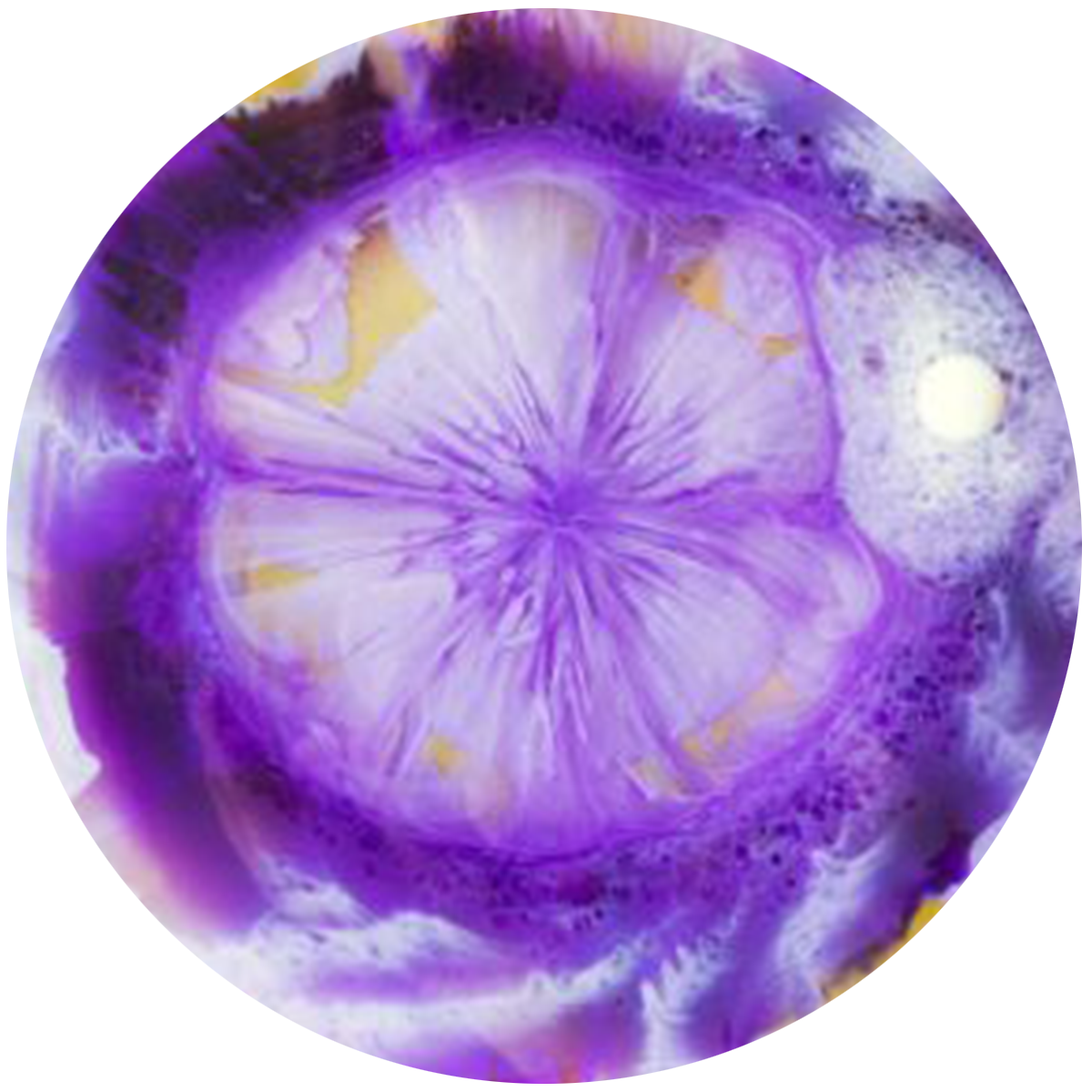 Close-up of a purple and white flower or ice, showing intricate details and patterns.