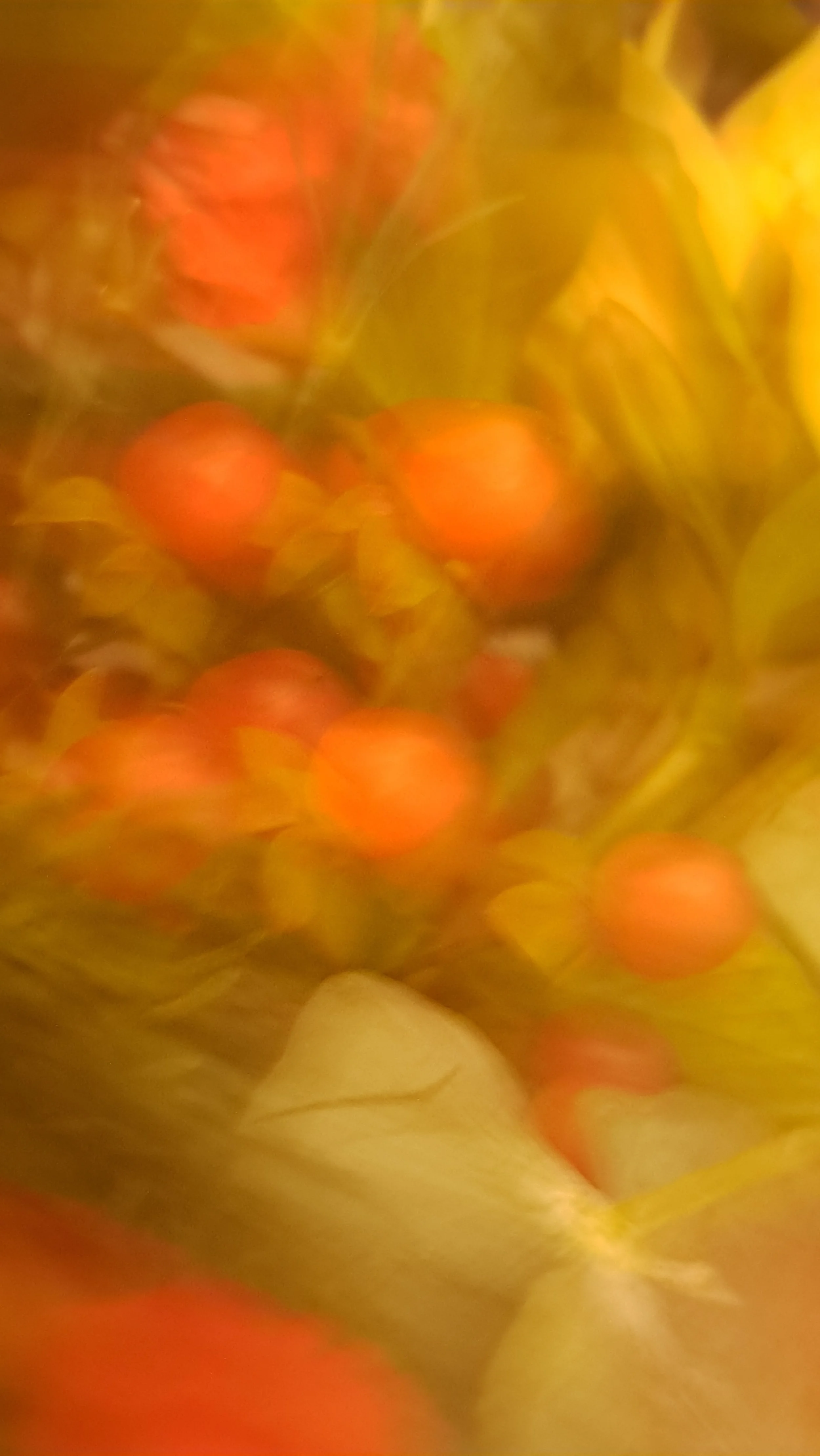 Close-up of small orange berries amidst yellow leaves with a blurred background.