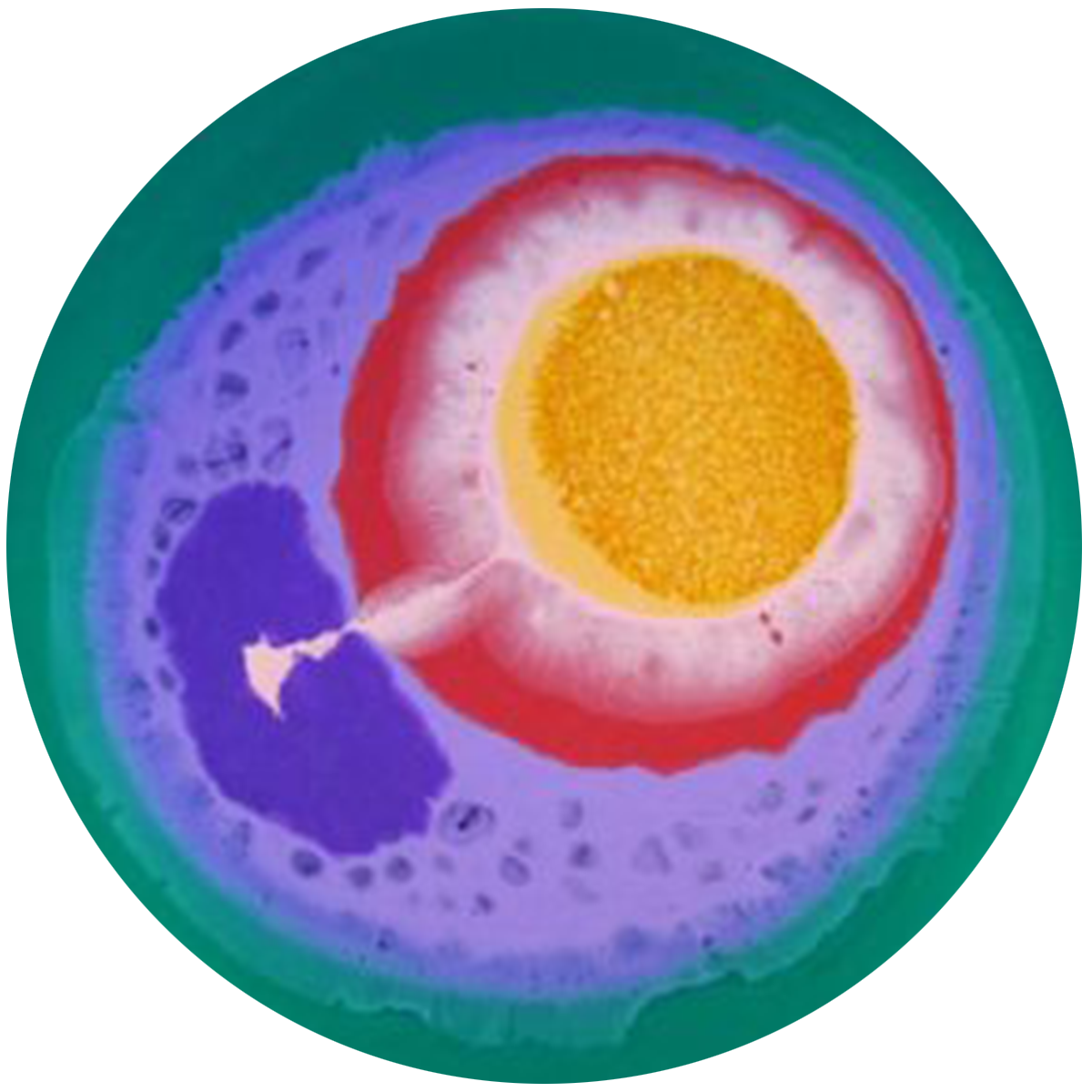 Creative watercolor painting of a bird's eye view of a daisy flower with yellow center, pink petals, purple leaves, and a green background