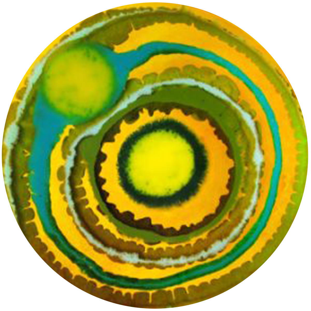 Close-up of an intricately patterned, colorful spiral design resembling a stylized eye or mandala with yellow, green, blue, and black accents.