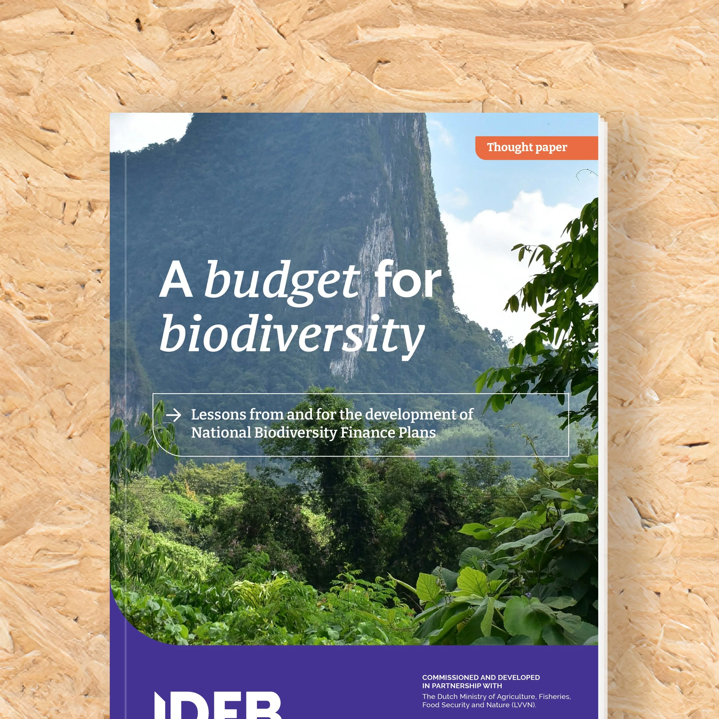 Biodiversiteit financiering